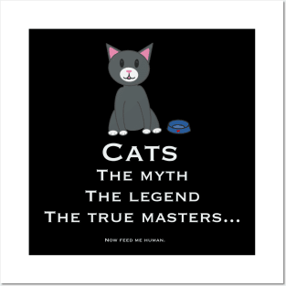 Cute cat master Posters and Art